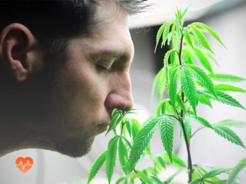 Детоксикация от марихуаны в Ачинске